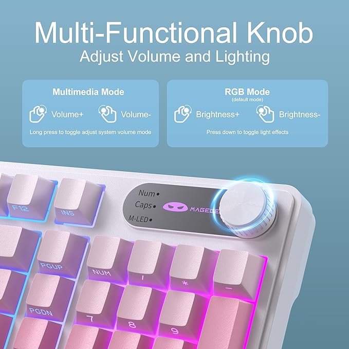 Camiysn Keyboard GK960 98 Keys 95% Layout Keyboards Type-C Connected Keyboard Side Engraved ABS Keycaps for PC/loptop/MAC