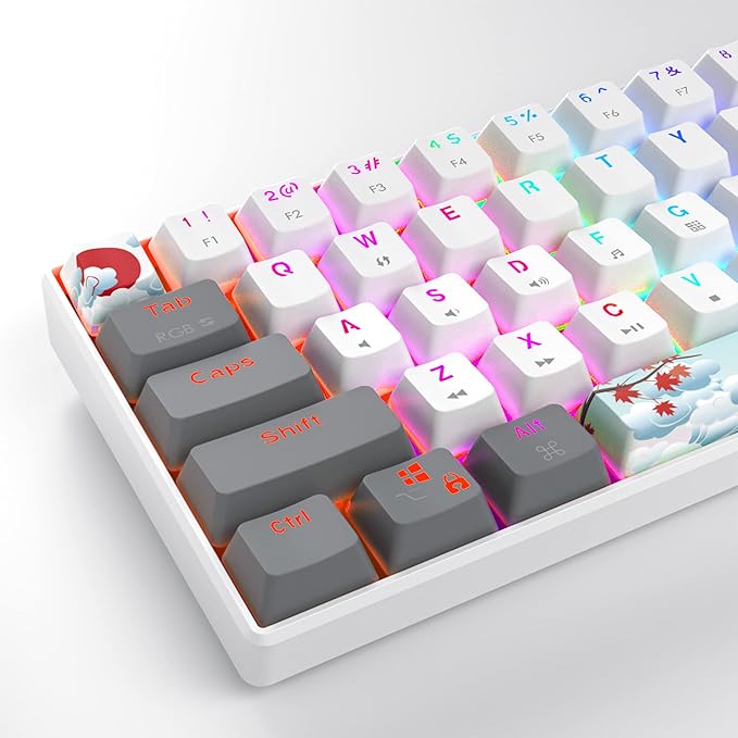 Owpkeenthy RGB Mechanical Keyboard 60 Percent Red Switches Ultra-Compact Mini Wired Gaming Keybaord with Backlit PBT Dye-Sub Keycaps for Win/Mac/PC (White/Red Switch)