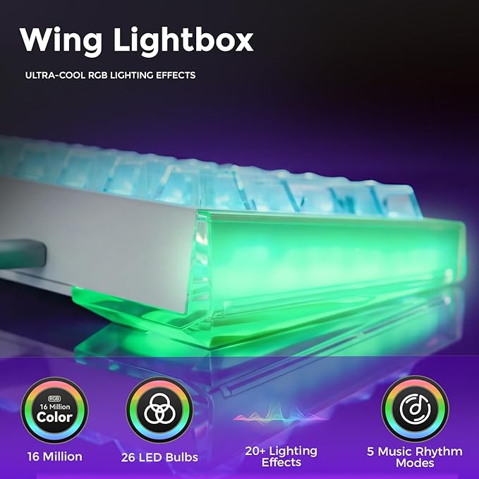 DAREU COOL68 60% Wired Gaming Keyboard Rapid Trigger Magnetic Switch Keyboard with 8000Hz Polling Rate Adjustable Actuation 0.1ms Latency Gasket Mount Hot swappable RGB Light