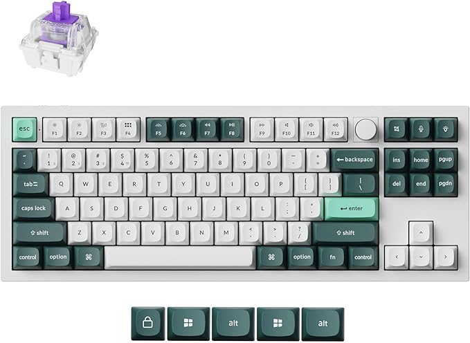 Keychron Q3 HE Wireless Custom Mechanical Keyboard 2.4 GHz/Bluetooth/Wired QMK Rapid Trigger 80% TKL Hot-Swappable Programmable RGB Gateron Double-Rail Magnetic Switches for Mac Windows Shell White