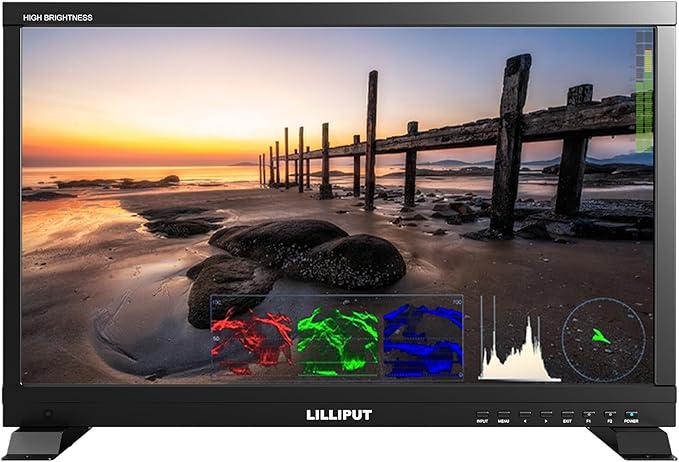 LILLIPUT PVM220S-H Series 21.5 High-Brightness 3G-SDI HDMI2.0 Broadcast Monitor with 3D-LUT HDR Gammas Waveform Vector... (PVM220S-H-ABBP-CC Gpld Mount Plate+Case)