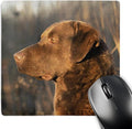 3dRose LLC 8 x 8 x 0.25 Inches Mouse Pad Chesapeake Bay Retriever Portrait (mp_5324_1)