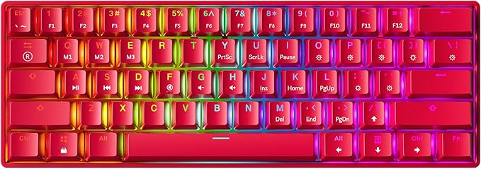 Mechanical Gaming Keyboard - 61 Keys Multi Color RGB Illuminated LED Backlit Wired Programmable for PC/Mac Gamer (Gateron Optical Yellow Red)