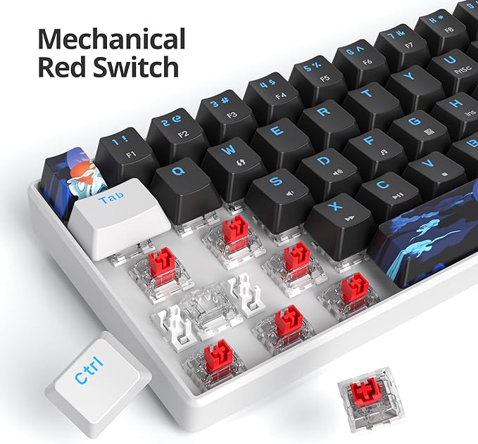 60 Percent Gaming Keyboard 61 Keys Mechanical Keyboard Ultra Compact Wird Keyboard LED Backlit with Red Switch for PC Laptop Gamer(61 Black)