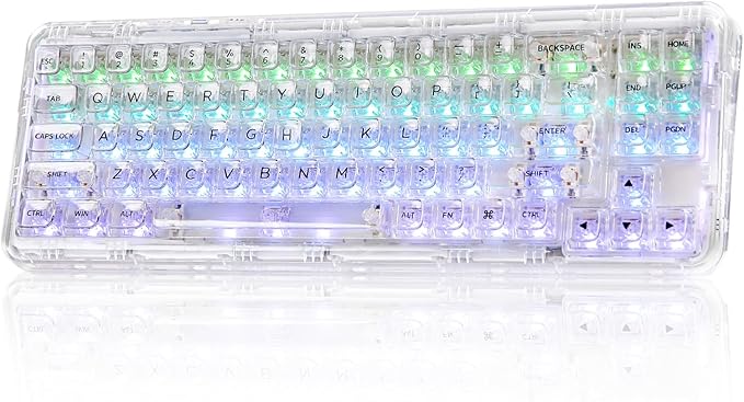 YUNZII X71 Wireless Hot Swappable Transparent Mechanical Keyboard with Clear Keycaps 68% Layout BT5.0/2.4G/USB-C Gasket Mount Wireless RGB Backlit for Windows/Mac(Crystal Ice SwitchWhite)
