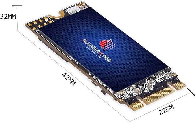 GAMERKING SSD M.2 2242 60GB NGFF Internal Solid State Drive High Performance Hard Drive for Desktop Laptop SATA III 6Gb/s M2 SSD (60GB M.2 2242)