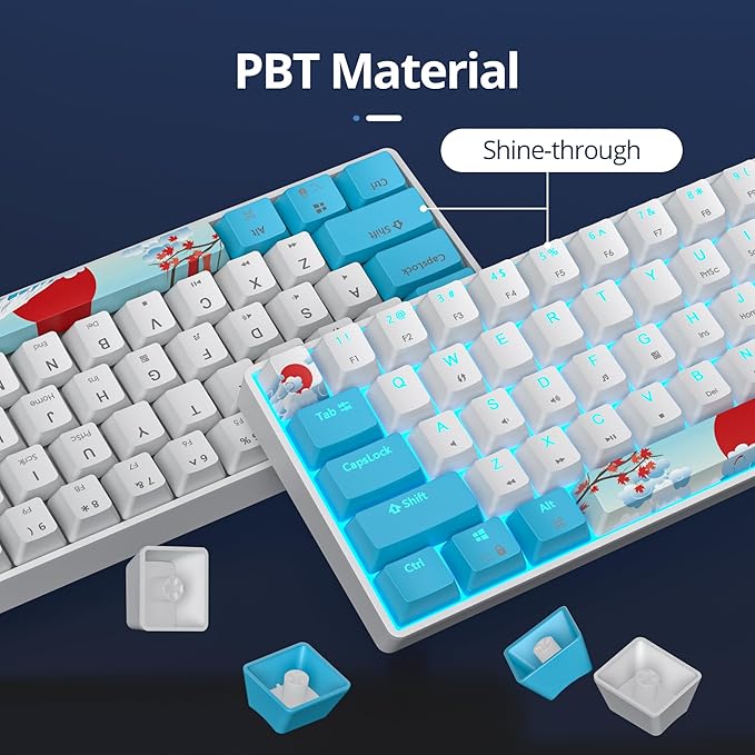 surmen 60% Wired Mechanical Gaming Keyboard Backlit Ultra-Compact Mini Office Keyboard with Red Switch for PC/Mac Gamer Typist (61 Blue White)