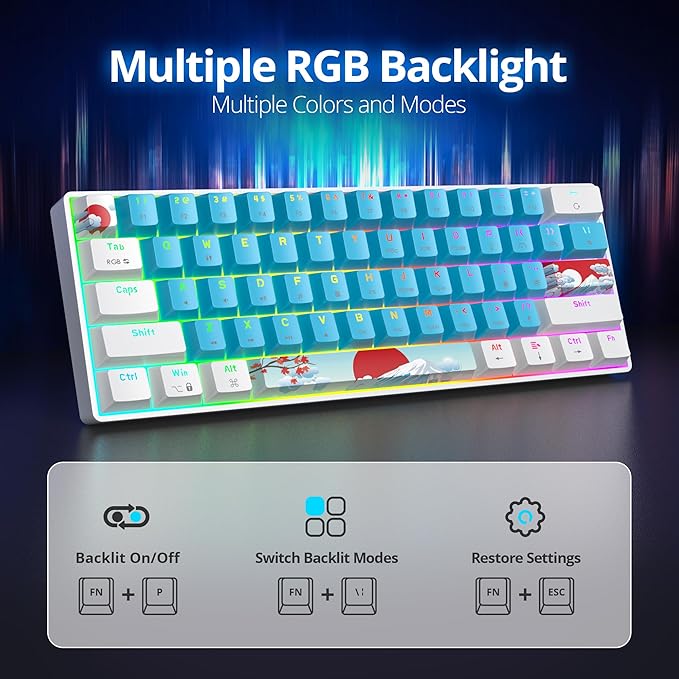 60% Mechanical Keyboard White and Blue Compact 60 Percent Gaming Key Board RGB Backlit 61 Keys Mini Keyboard USB Wired Office Keyboards for Windows Mac Laptop PC (61 Blue/Red Switches)