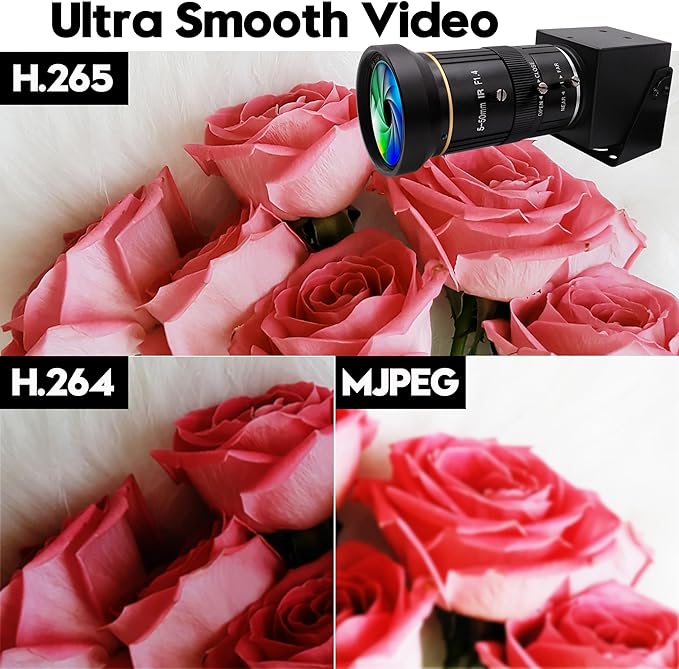HDMI 4K USB Camera for Live Streaming 10X Variable Focus PC Webcam USB HDMI Simultaneous Output Video Conferencing Close up Zoom in and Out Web Camera for Online Teaching Training