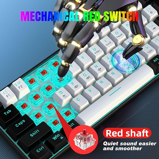 Snpurdiri 60% Wired Mechanical Gaming Keyboard Ice Blue LED Backlit 61 Keys Mini Wired Office Keyboard for Windows Laptop PC Mac (Black-White Red Switches)