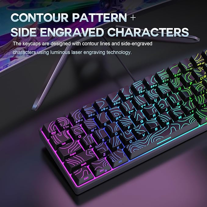 Snpurdiri 65% Wired Gaming Keyboard 68 Keys RGB Backlit Ultra-Compact Small Gaming Keyboard for PC/Mac Gamer Typist Travel Easy to Carry on Business Trip Black