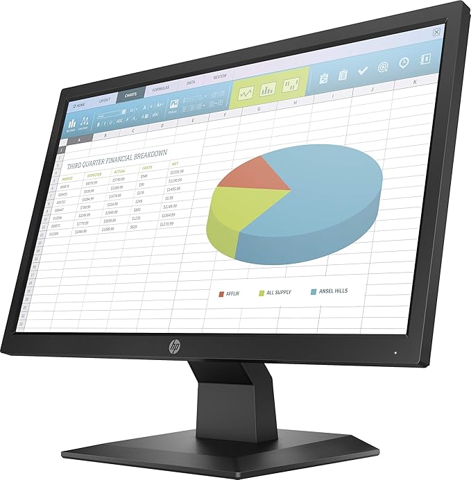 HP P204 LED Display 49.5 cm (19.5) HD+ Flat Black