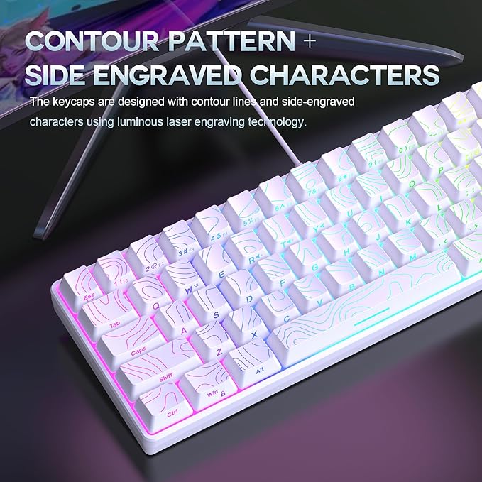 Snpurdiri 65% Wired Gaming Keyboard 68 Keys RGB Backlit Ultra-Compact Small Gaming Keyboard for PC/Mac Gamer Typist Travel Easy to Carry on Business Trip White