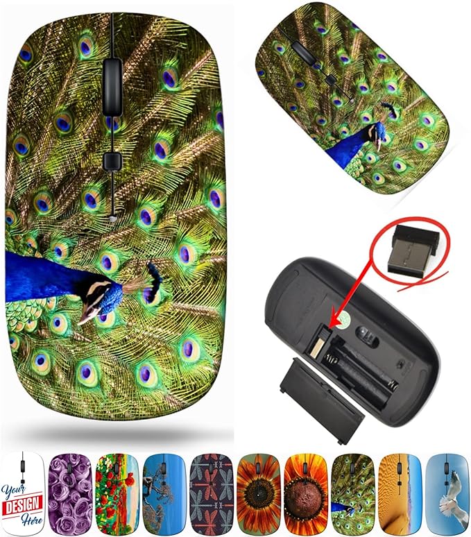 maizi Mouse Wireless for Mac Computer Personal Laptop Mice Wireless Image ID: 13590116 Male Peacock displayi 2.4 Ghz Travel Mouse Portable Printed in USA