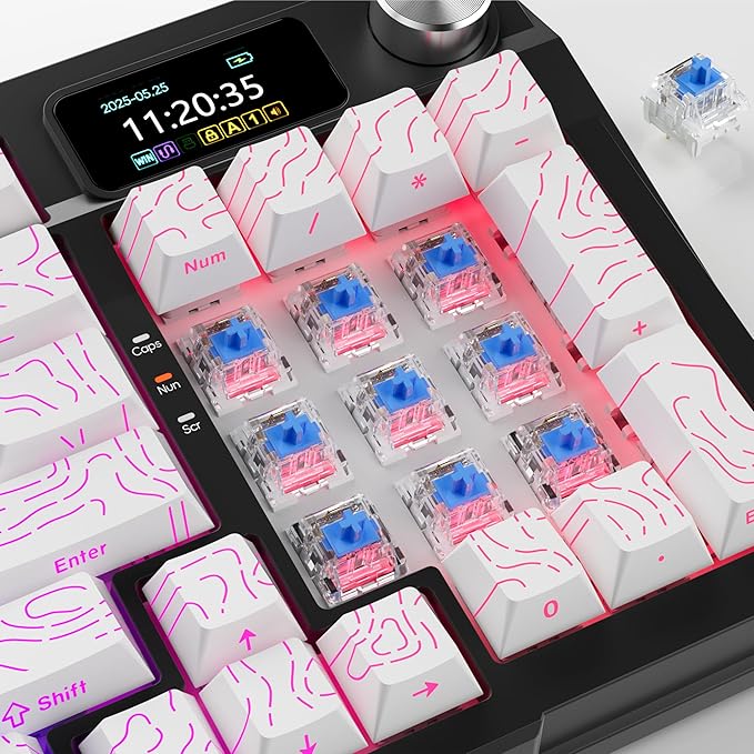 Blue Switch 3 Pin Mechanical Keyboard SwitchesDustproofAccurate Typing Clicky Tactile Feel for DIY Gaming Keyboard with 3 Kailh Box Clicky Switches(105+3Pcs)