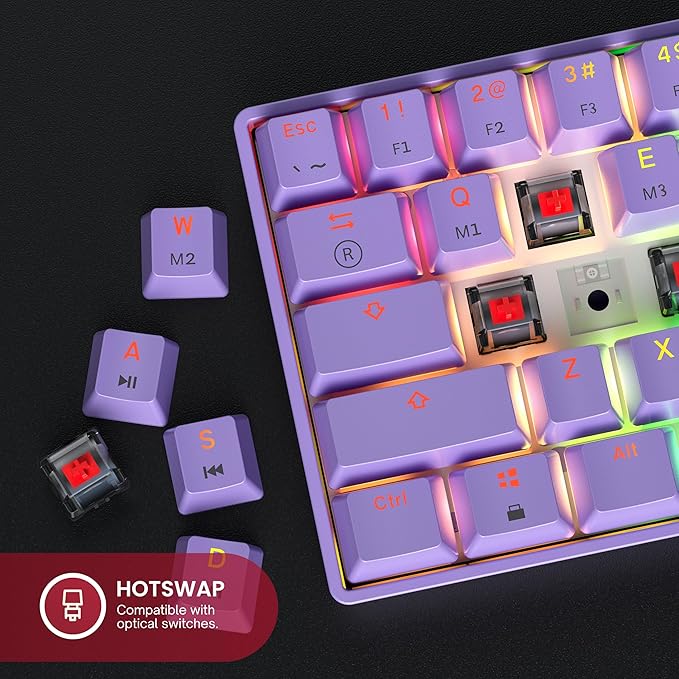 Mechanical Gaming Keyboard - 61 Keys Multi Color RGB Illuminated LED Backlit Wired Programmable for PC/Mac Gamer (Gateron Optical Brown Lavender)