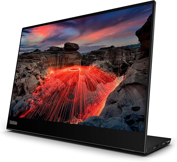 ThinkVision M14t Gen2 14-inch Monitor