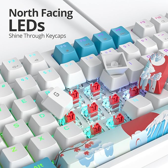 75% Mechanical Gaming Keyboard with Red Switch RGB LED Backlit Keyboard White and Blue 87 Keys Compact TKL Wired Computer Keyboard for Windows Laptop PC Gamer (87 Sea)