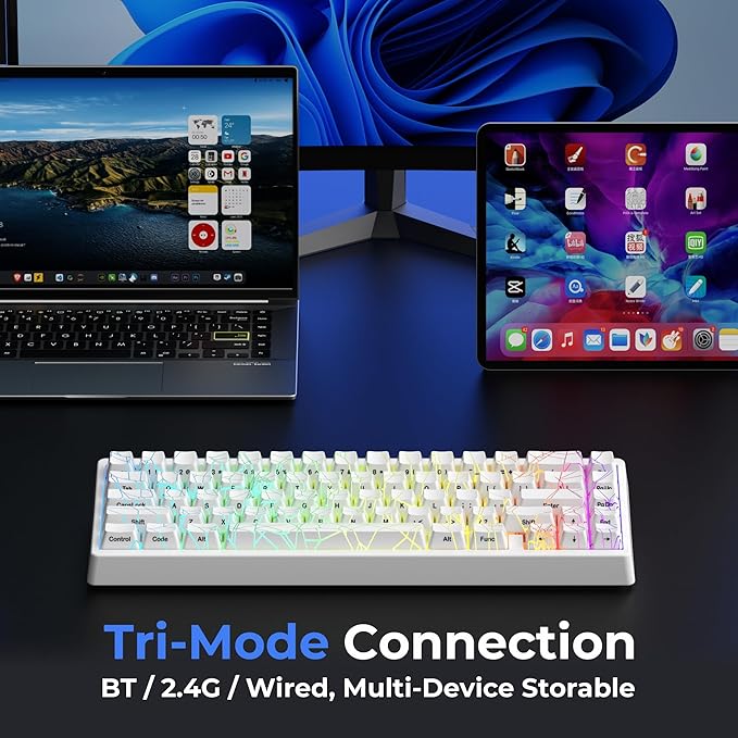 HITIME x XVX M67 Wireless 60% Percent Keyboard QMK/VIA Gaming Keyboard Tri-Mode Thocky Creamy Mechanical Key Board Hot Swappable Gasket Mount RGB IMD Tech for Win/Mac Spider Web Theme White