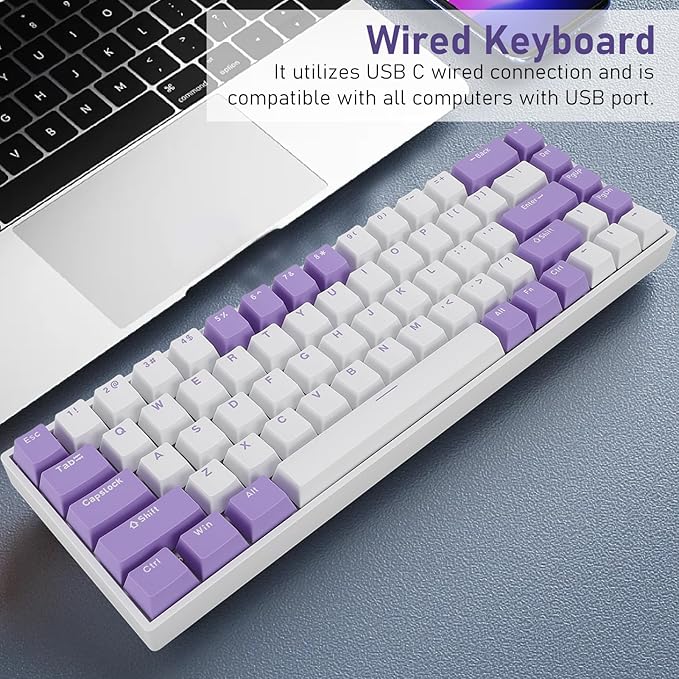 Yoidesu Mechanical Keyboard USB C Wired Gaming Keyboard Blueberry Theme Keycap RGB Backlit 68 Keys Blue Switch Computer Keyboard for Wins 2000 ME for Vista