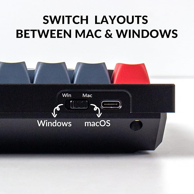 Keychron Q4 Wired Custom Mechanical Keyboard 60% Layout QMK/VIA Programmable Macro with Hot-swappable Gateron G Pro Red Switch Double Gasket Compatible with Mac Windows Linux (Black)