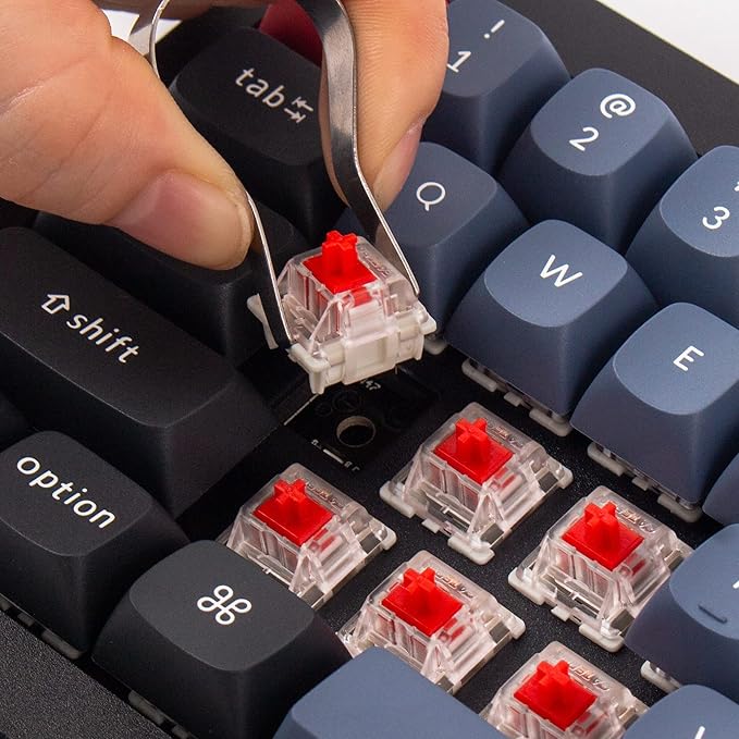 Keychron Q4 Wired Custom Mechanical Keyboard 60% Layout QMK/VIA Programmable Macro with Hot-swappable Gateron G Pro Red Switch Double Gasket Compatible with Mac Windows Linux (Black)