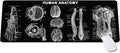 Human Anatomy Mouse Pad – Extra Large Desk Mat for Medical Students &amp Professionals Ideal Gift for Science Lovers Essential Computer Accessories for Study Work and Reference Purposes KMH