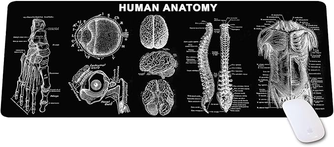 Human Anatomy Mouse Pad – Extra Large Desk Mat for Medical Students &amp Professionals Ideal Gift for Science Lovers Essential Computer Accessories for Study Work and Reference Purposes KMH