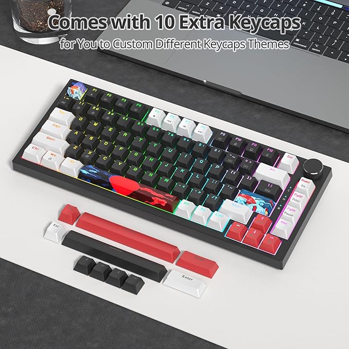 75 Percent Keyboard Gasket-Mounted with Sound Absorbing Pads 82-Key Compact Wired RGB Mechanical Gaming Keyboard Hot-Swap Socket for Win Black