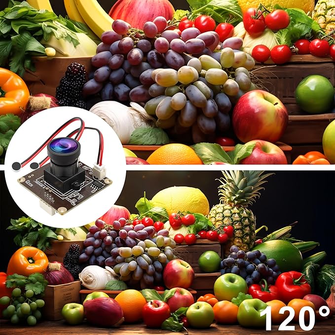 ELP 5MP USB Camera Module with Dual Microphone for Computer &amp Laser Engraver - 1944P USB Security Camera for Raspberry Pi (120 Low Distortion Lens)