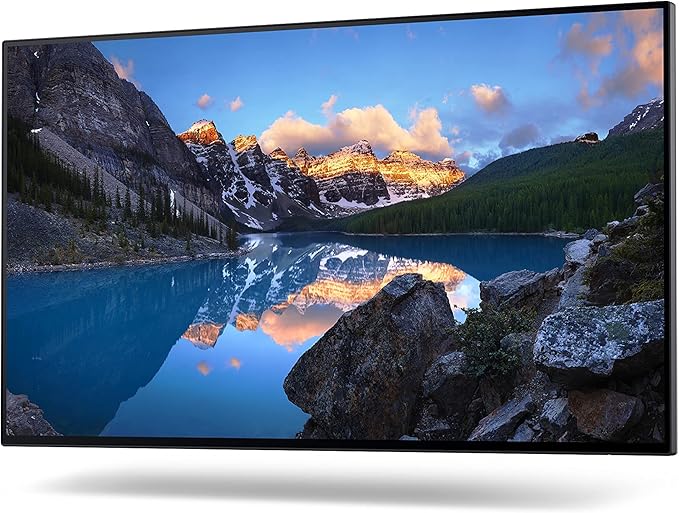 Dell UltraSharp 24 Monitor - U2422H - 60.47cm (23.8) 0210-AYUI 837035 (U2422H - 60.47cm (23.8))