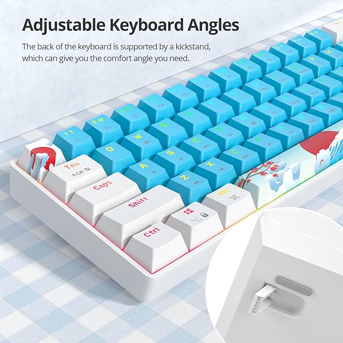 60% Mechanical Keyboard - Compact 60% Gaming Keyboard RGB Backlit 61 Keys USB Wired for Windows Mac Laptop PC (61 Blue/Blue Switches)