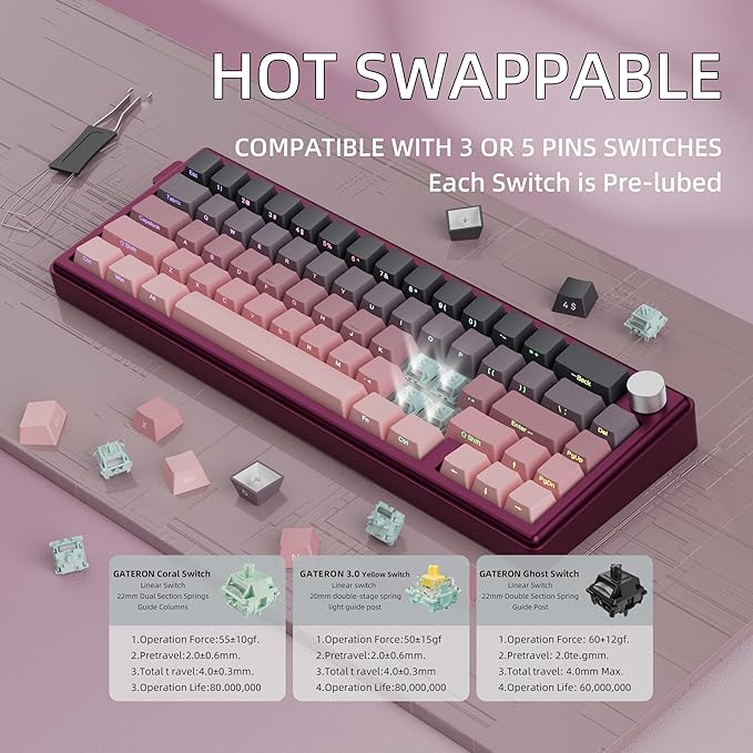 KY65 Wireless Mechanical Keyboard65% Gasket Hot Swappable Custom KeyboardRGB BacklitPre-lubed Gateron SwitchesSide Printed PBT Keycaps2.4GHz/TYPE-C/BT5.0 Mechanical Gaming Keyboards Pink&ampBla