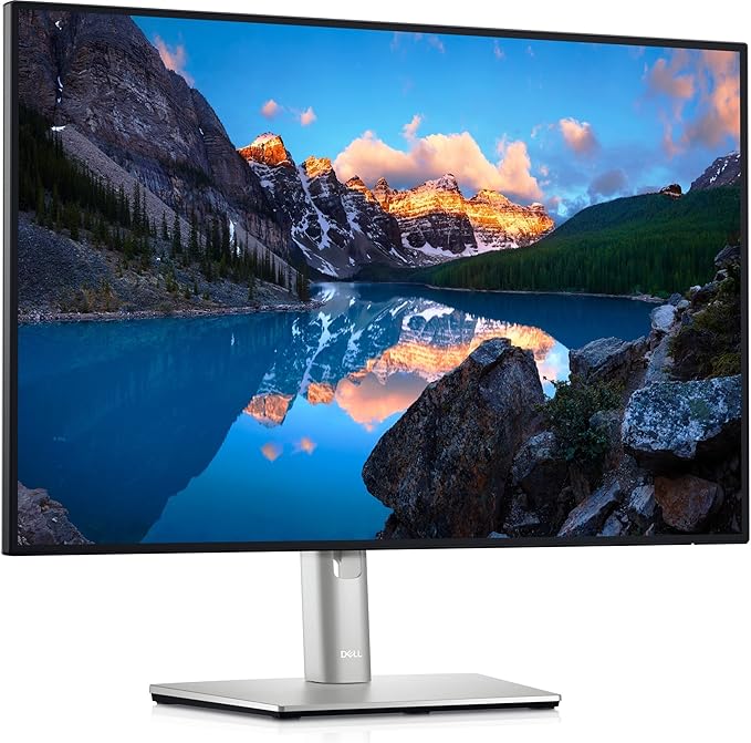 Dell UltraSharp U2421E 23.8 LCD Monitor - 24 Class