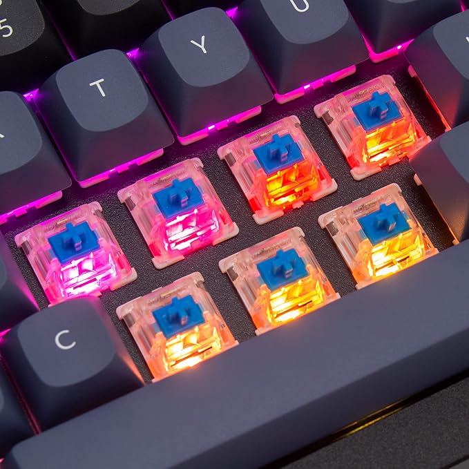 Keychron Q4 Wired Custom Mechanical Keyboard 60% Layout QMK/VIA Programmable Macro with Hot-swappable Gateron G Pro Blue Switch Double Gasket Compatible with Mac Windows Linux (Black)