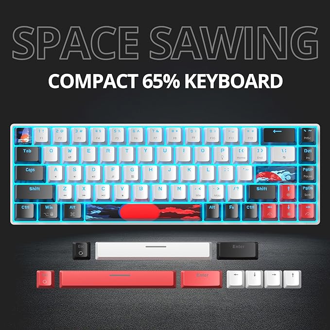 Protable 60% Percent Gaming Keyboard Mechanical Mini Compact Ice-Blue LED Backlit 68 Keys Wired Office Keyboard with Red Switch for Mac/Win/PS4/PS5（68White/red Switch）