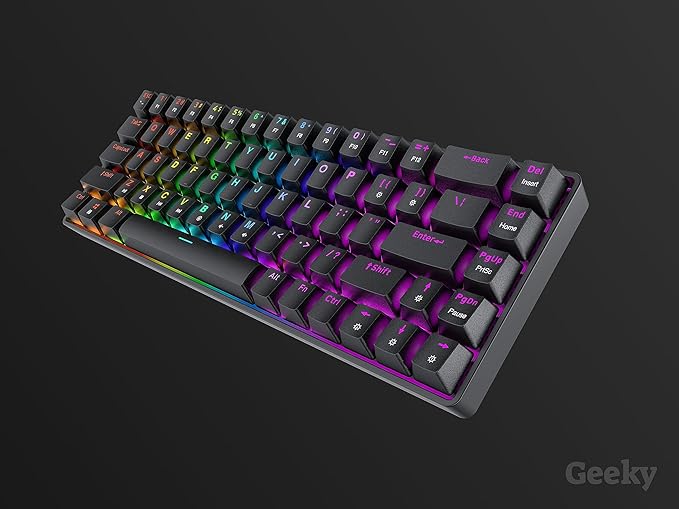 Geeky GK65 65% | Hot Swappable Mechanical Gaming Keyboard | 68 Keys Multi Color RGB LED Backlit for PC/Mac Gamer | ANSI US American Layout (Black Mechanical Speed Silver)