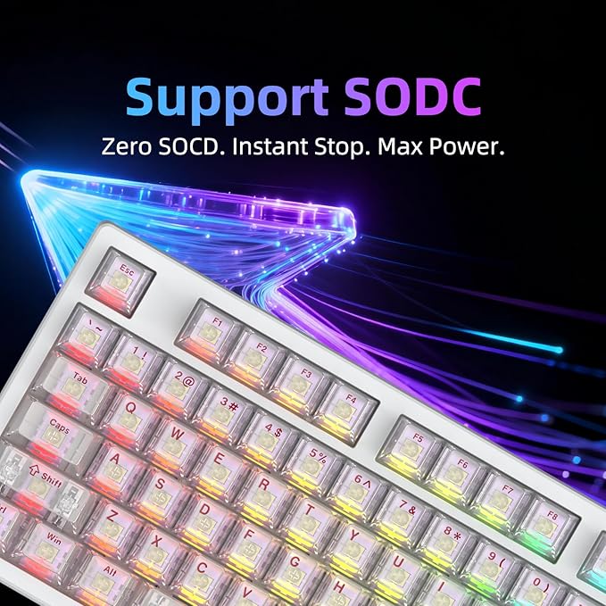 FE87 V2 Wired Mechanical Keyboard Dual 8KHZ Polling Rate Support SODC/Latency As 0.125MS/ARGBHot Swappable Gasket Sturcture Gaming Keyboard (White/Hyacinth Switch)