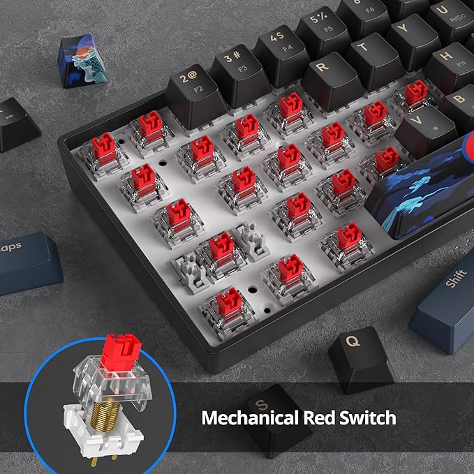 60 Percent Gaming Keyboard 61 Keys Mechanical Keyboard Rainbow Backlit Ultra Compact Wird Keyboard with Red Switches for Win Ps4/5 Xbox(61 Blue)