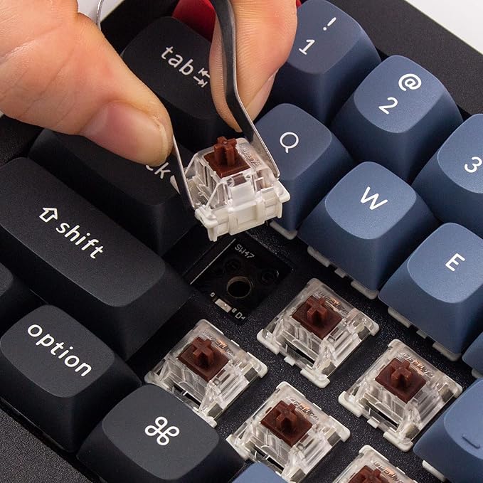 Keychron Q4 Wired Custom Mechanical Keyboard 60% Layout QMK/VIA Programmable Macro with Hot-swappable Gateron G Pro Brown Switch Double Gasket Compatible with Mac Windows Linux (Black)