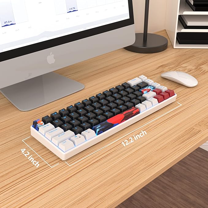 60 Percent Gaming Keyboard 68 Keys Mechanical Keyboard LED Backlit Compact Wired Keyboard with Red Switch for Windows PS4/5 Xbox Gamer(White-Black)