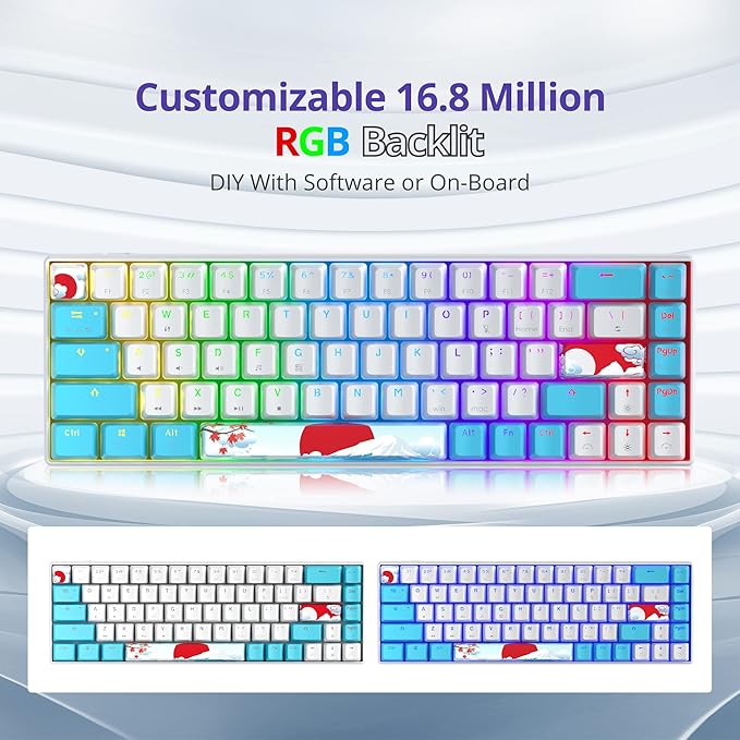 65% Mechanical Keyboard 68-Key Wired Gaming Keyboard with Blue Switch RGB Lighting Effect PBT Keycaps Ultra-Compact Mini Keyboard Suitable for Win/Mac(68 Sea)
