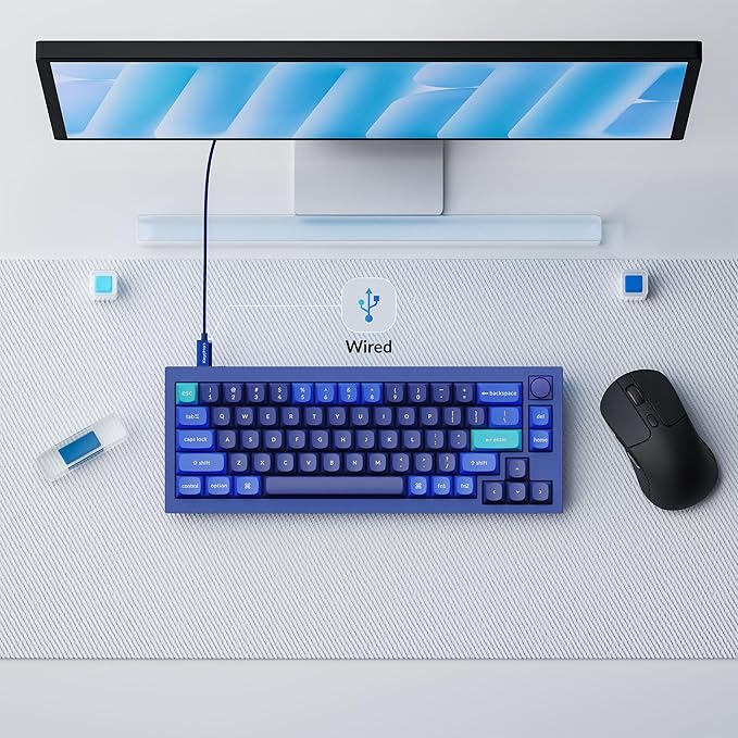 Keychron Q2 Wired 65% Layout Mechanical Keyboard with Knob &amp RGB - Hot-Swappable Gateron G Pro Blue Switch QMK/VIA Programmable Double Gasket Mount Aluminum Body for Mac/Windows/Linux (Blue)
