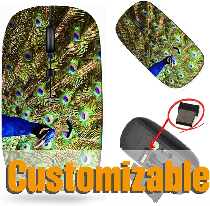 maizi Mouse Wireless for Mac Computer Personal Laptop Mice Wireless Image ID: 13590116 Male Peacock displayi 2.4 Ghz Travel Mouse Portable Printed in USA