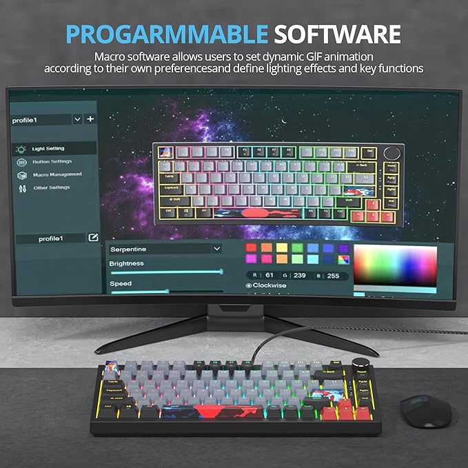 75 Percent Keyboard Gasket-Mounted with Sound Absorbing Pads 82-Key Compact Wired RGB Mechanical Gaming Keyboard Hot-Swap Socket for Win Dolch