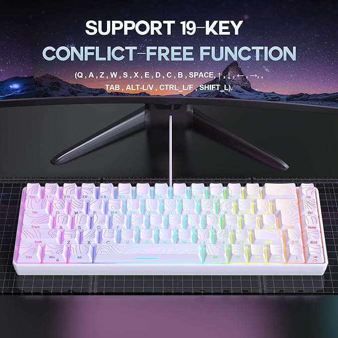 Snpurdiri 65% Wired Gaming Keyboard 68 Keys RGB Backlit Ultra-Compact Small Gaming Keyboard for PC/Mac Gamer Typist Travel Easy to Carry on Business Trip White
