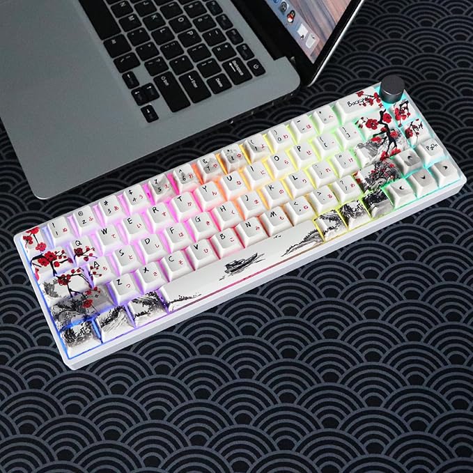 MOLGRIA GK68 68-Key RGB Backlit Gaming Keyboard with Plum Blossom Keycaps Hot Swappable Red Mechinery Switches Triple Mode Connection with Knob Mechanical Keyboard for Win/Mac OS