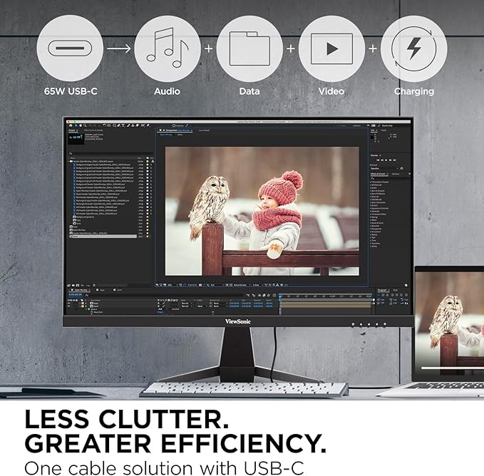 ViewSonic VX2467U 24 Inch 1080p Monitor with 65W USB C Ultra-Thin Bezels HDMI and VGA Input