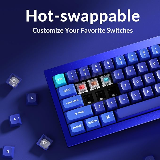 Keychron Q4 Wired Custom Mechanical Keyboard QMK/VIA Programmable Macro Full Aluminum Hot-Swappable Gateron G Pro Brown Switch 60% Layout Double Gasket Compatible with Mac and Windows - Blue