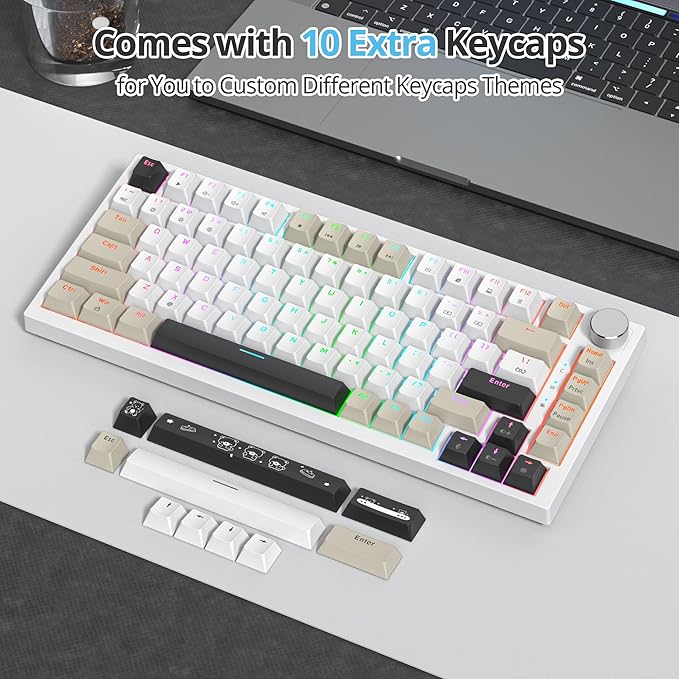 75 Percent Keyboard Gasket-Mounted with Sound Absorbing Pads 82-Key Compact Wired RGB Mechanical Gaming Keyboard Hot-Swap Socket for Win Gray Black White